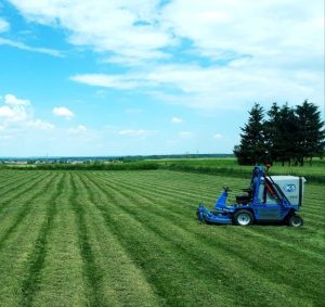 Održavanje zelenih površina